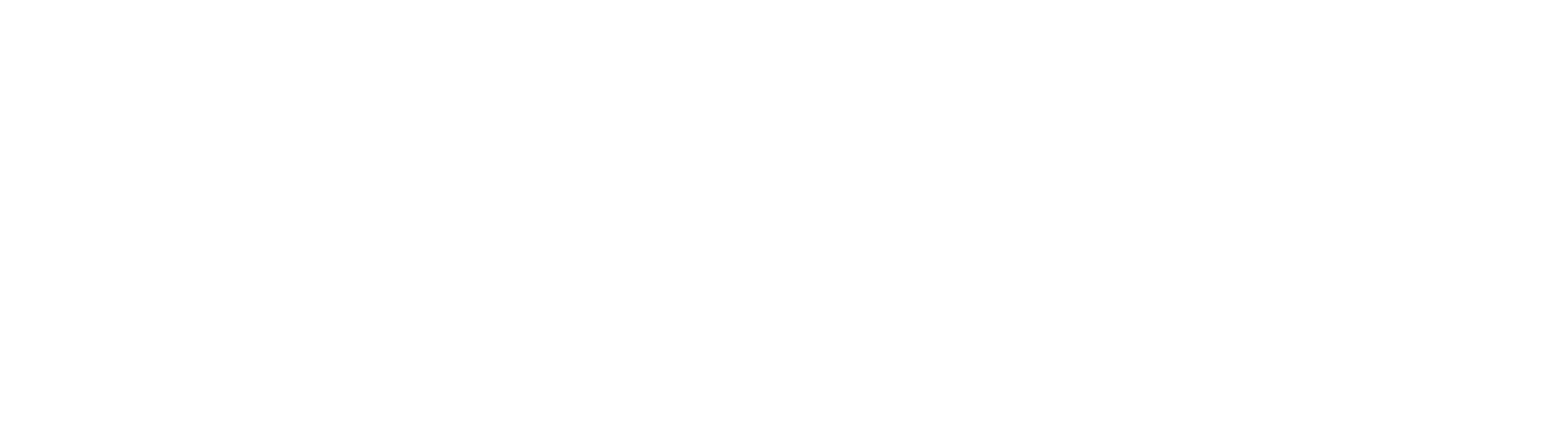 Logo-Wolff-GmbH Online Videokurse